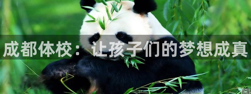 JJB竞技宝官方正版app代理:成都体校:让孩子们的梦想成真