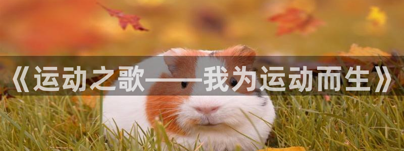 JJB竞技宝官网下载平台假的吗是真的吗吗:《运动之歌——我为