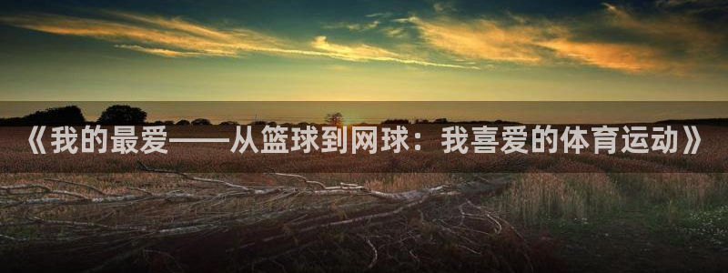 JJB竞技宝官网下载:《我的最爱——从篮球到网球:我喜爱的体