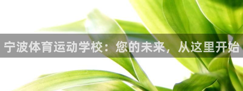JJB竞技宝官方正版app新能源:宁波体育运动学校:您的未来