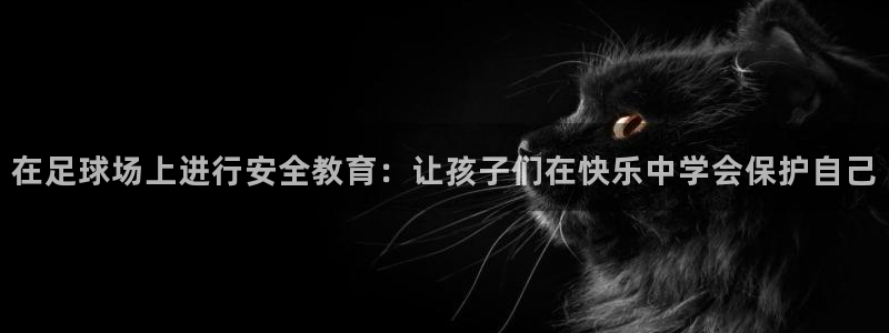 JJB竞技宝官网下载平台是正规平台吗:在足球场上进行安全教育