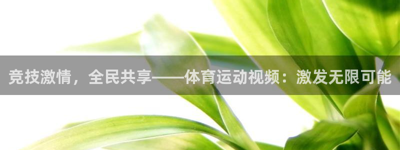 JJB竞技宝官网下载娱乐:竞技激情,全民共享——体育运动视频